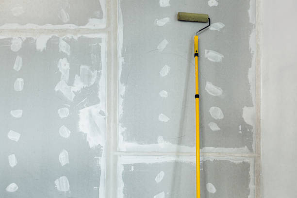 Reliable Kailua, HI Mold Removal Solutions