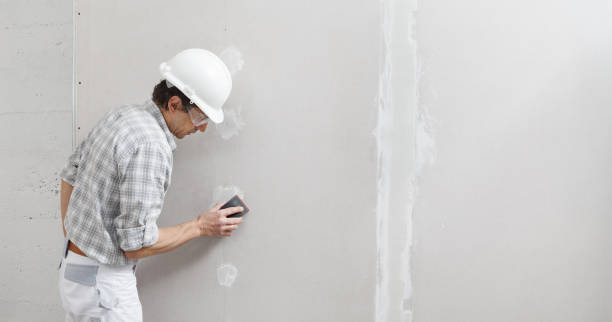 Best Asbestos and Lead Testing During Mold Inspection  in Kailua, HI
