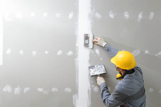 Best Emergency Mold Remediation  in Kailua, HI