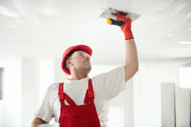 Best Attic Mold Removal  in Kailua, HI