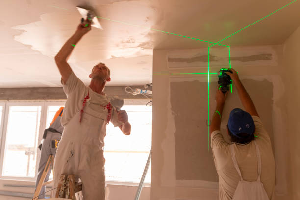 Best Basement Mold Removal  in Kailua, HI