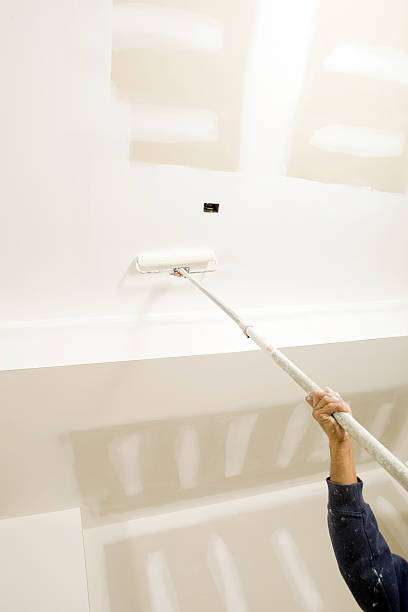 Mold Remediation for Rental Properties in Kailua, HI