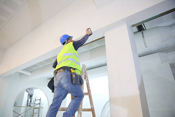 Best Mold Remediation for Healthcare Facilities  in Kailua, HI