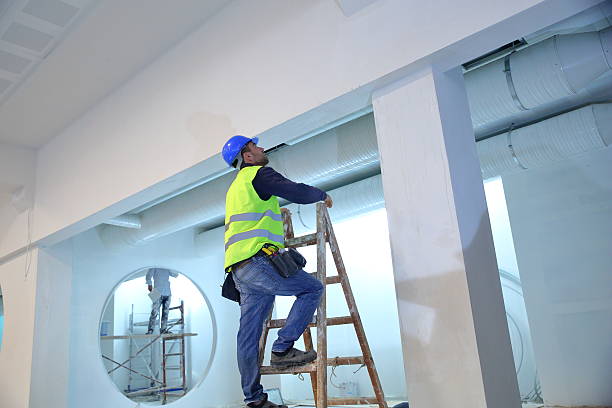Mold Odor Removal Services in Kailua, HI